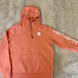 Carhartt Relaxed Fit Midweight Logo Sleeve Graphic Hoodie